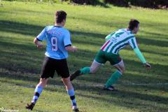 IMG_8700-Copy