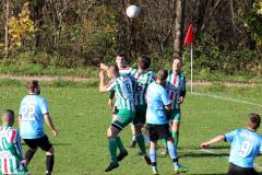 IMG_8822-Copy