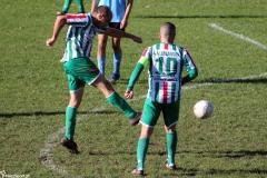 IMG_8833-Copy