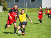 park-strzelecki-1-z-1-10_optimized-Copy