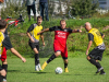park-strzelecki-1-z-1-13_optimized-Copy