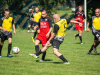 park-strzelecki-1-z-1-15_optimized-Copy
