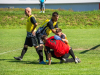 park-strzelecki-1-z-1-16_optimized-Copy