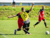 park-strzelecki-1-z-1-4_optimized-Copy