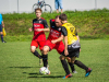 park-strzelecki-1-z-1-9_optimized-Copy