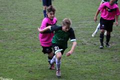 IMG_7208-Copy