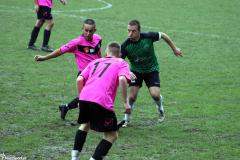 IMG_7214-Copy