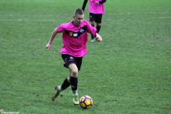 IMG_7248-Copy