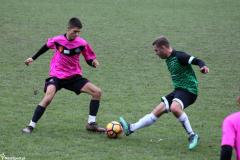 IMG_7295-Copy