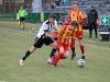 IMG_0451-Copy