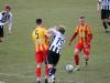 IMG_0495-Copy
