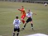 IMG_0500-Copy