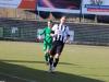 IMG_9901-Copy