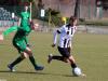 IMG_9945-Copy