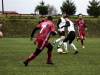 IMG_0371_wm-Copy