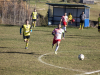 IMG_9329_wm-Copy