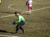 IMG_9330_wm-Copy