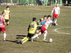 IMG_9334_wm-Copy