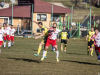 IMG_9404_wm-Copy