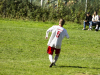 IMG_8294-Copy