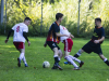 IMG_8302-Copy
