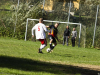 IMG_8347-Copy