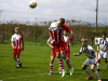 IMG_4253_wm-Copy