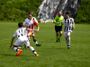 IMG_4322_wm-Copy