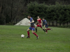IMG_0294_wm-Copy