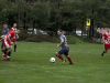 IMG_0350_wm-Copy
