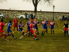 IMG_9870_wm-Copy