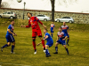 IMG_9881_wm-Copy