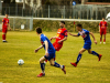 IMG_9885_wm-Copy