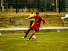 IMG_9905_wm-Copy