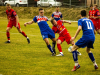 IMG_9956_wm-Copy