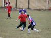 IMG_0253-Copy