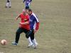 IMG_0256-Copy