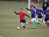 IMG_0341-Copy