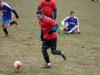 IMG_0392-Copy