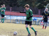 IMG_0092-Copy