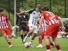 Sandecja-3-Copy