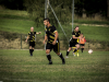 IMG_6485_wm-Copy