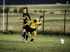 IMG_6498_wm-Copy