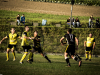 IMG_6548_wm-Copy