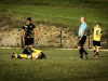 IMG_6559_wm-Copy