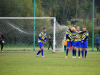 43-Copy